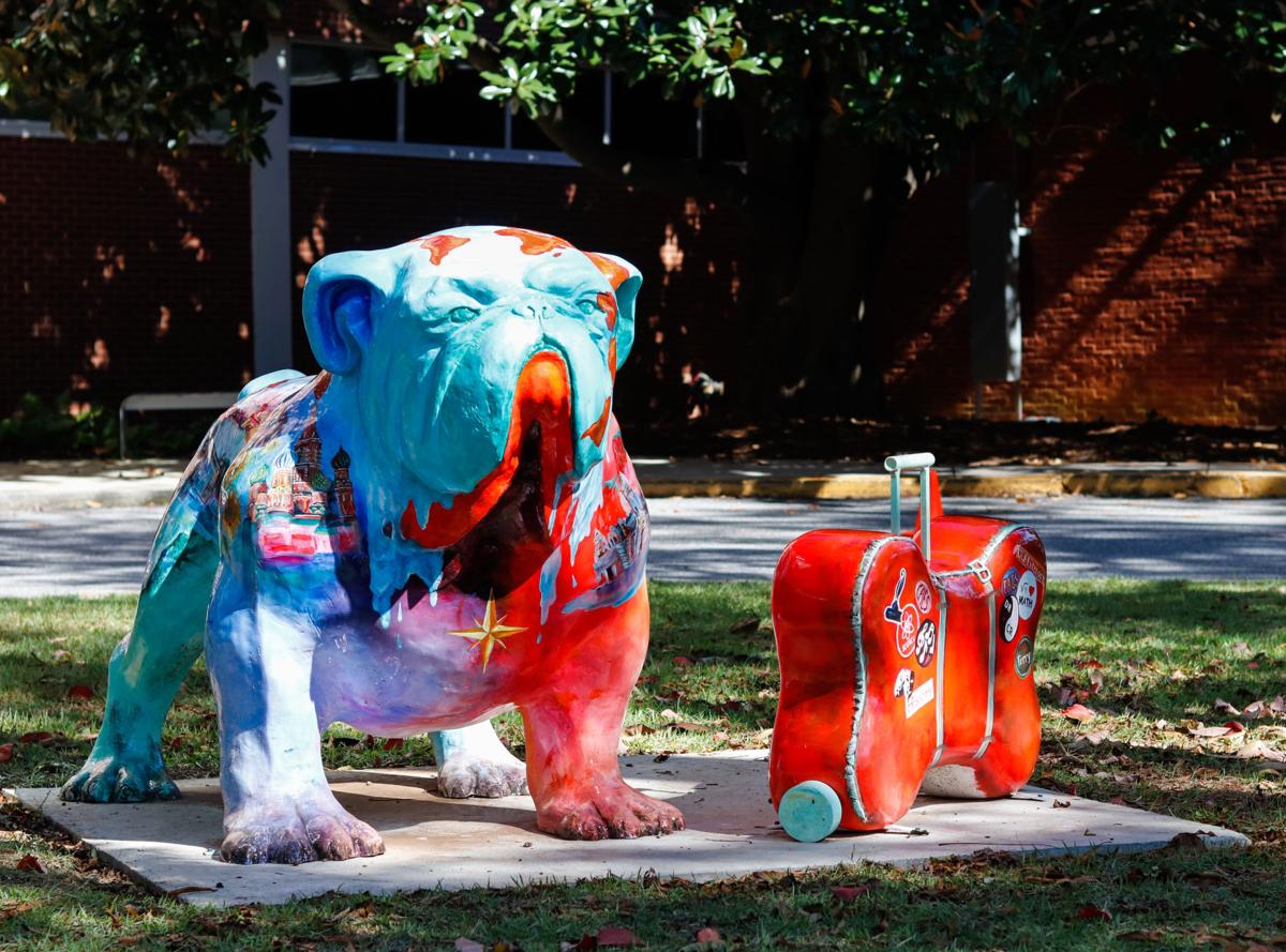 Painted purebreds: Bulldog statues in Athens encourage community interest in art | Arts