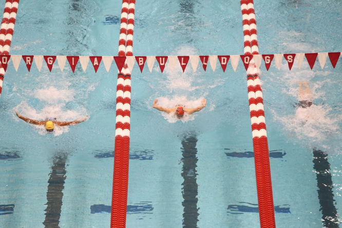 Georgia Swimming & Diving Fall Invitational Day Two | Photo Galleries ...