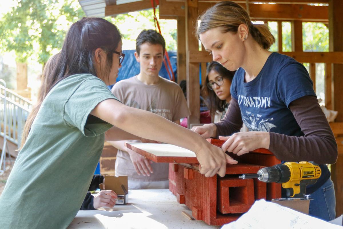 Nighttime Neighbors Uga Students Build Homes For Bats In Athens Bat House Creation