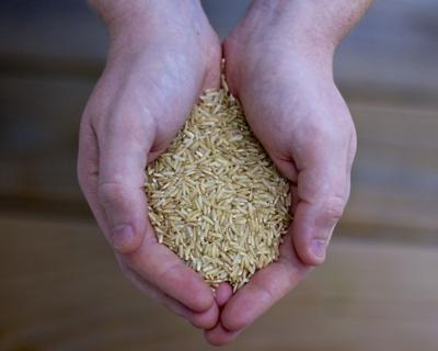 New Georgia Law Lifts Food Stamp Ban For Drug Felons Athensnews Redandblack Com
