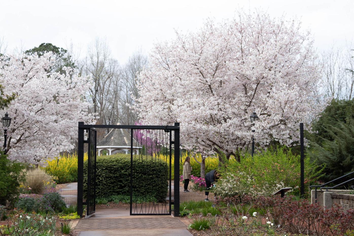 210324_SMH_Spring Botanical Gardens 018.jpg