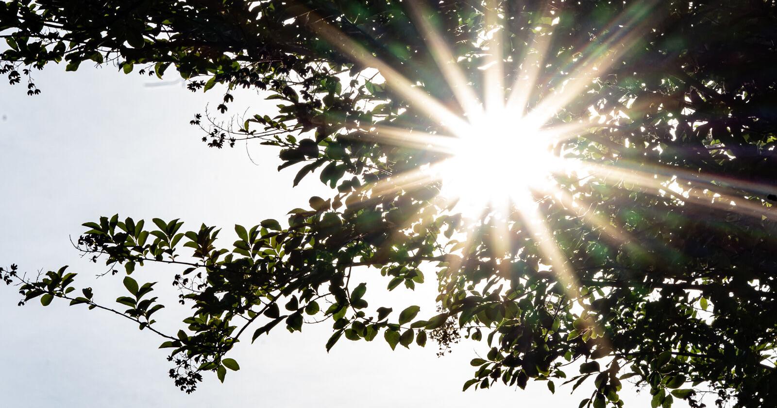 Beat the heat: Places to cool off this summer - Vimarsana News