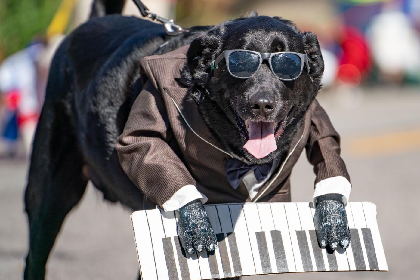 The Boo-le-Bark on the Boulevard Dog Costume Parade