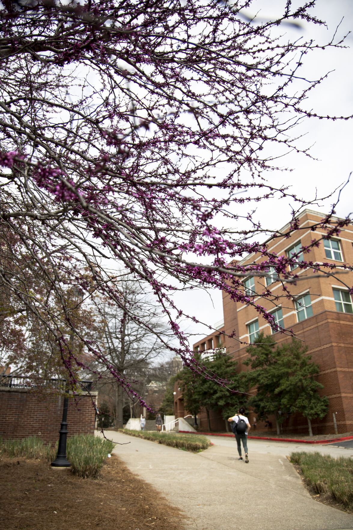 03152021_tmg_spring on campus 001.jpg