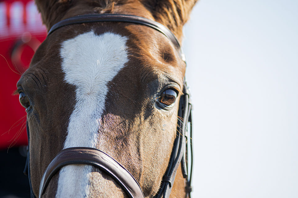 190927_ks_EquestrianvSweetBriar_0001.jpg
