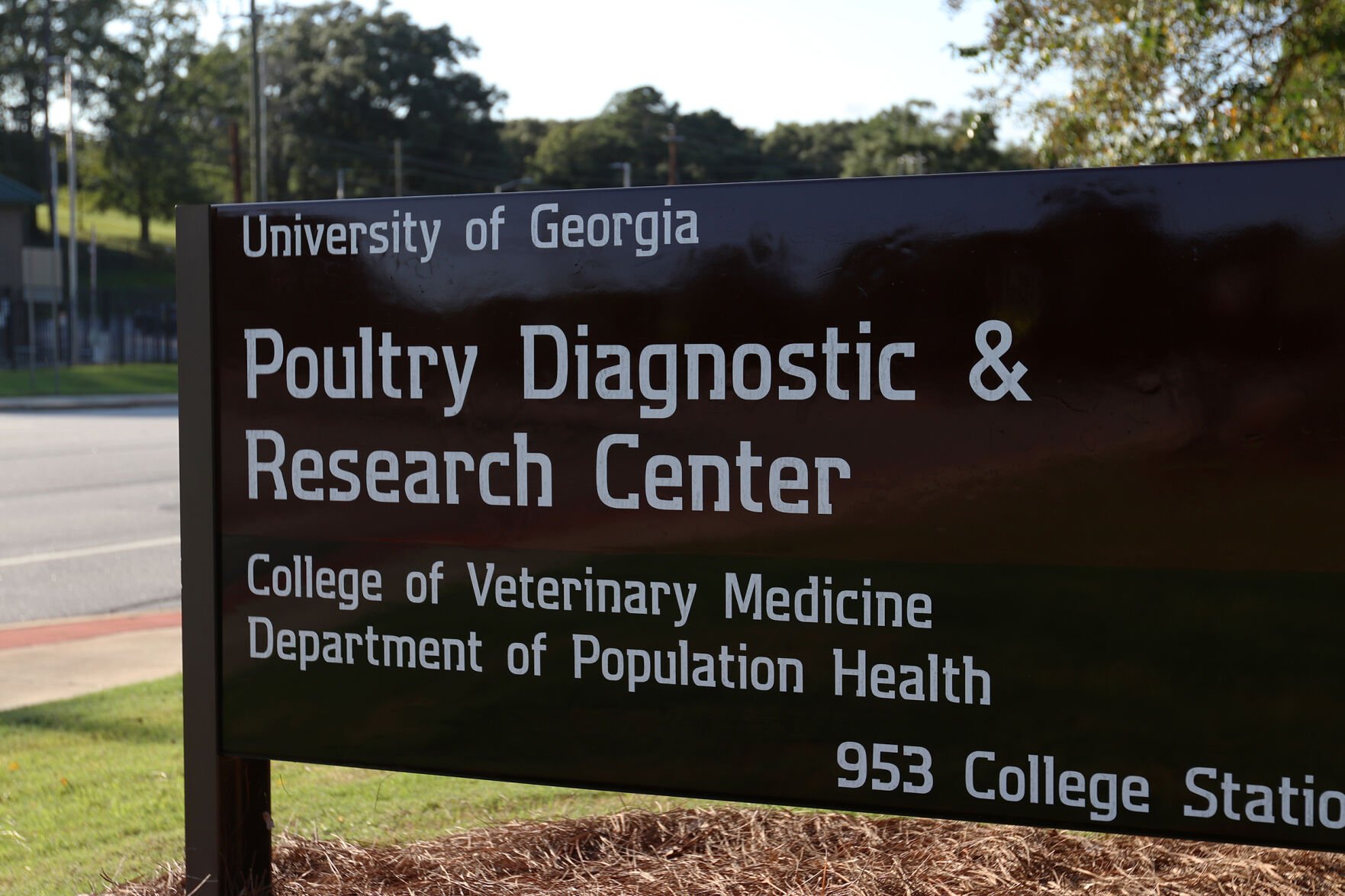 Uga deals diagnostic lab