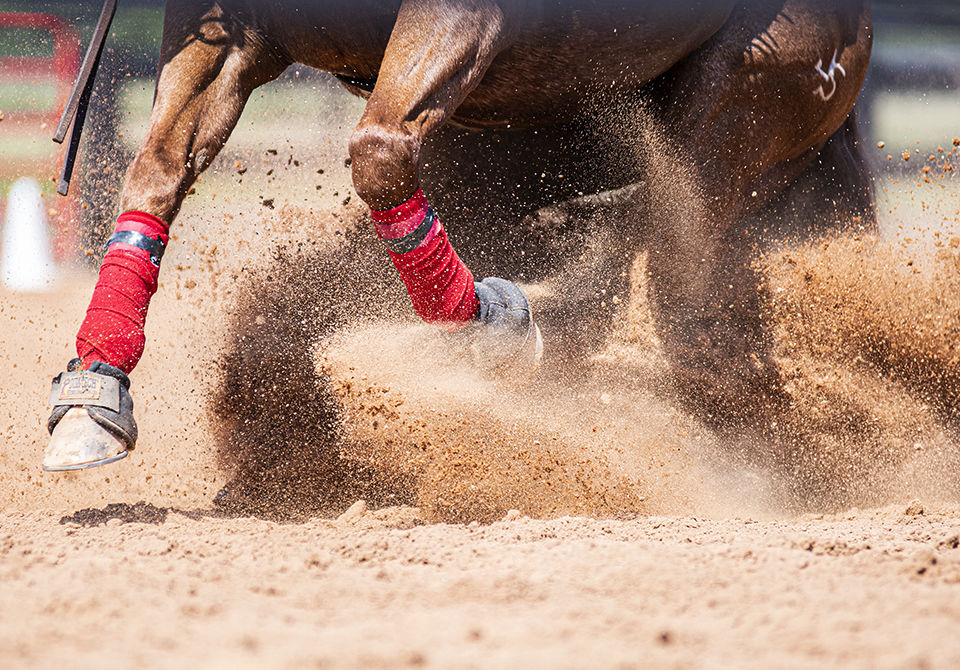 190927_ks_EquestrianvSweetBriar_0017.jpg