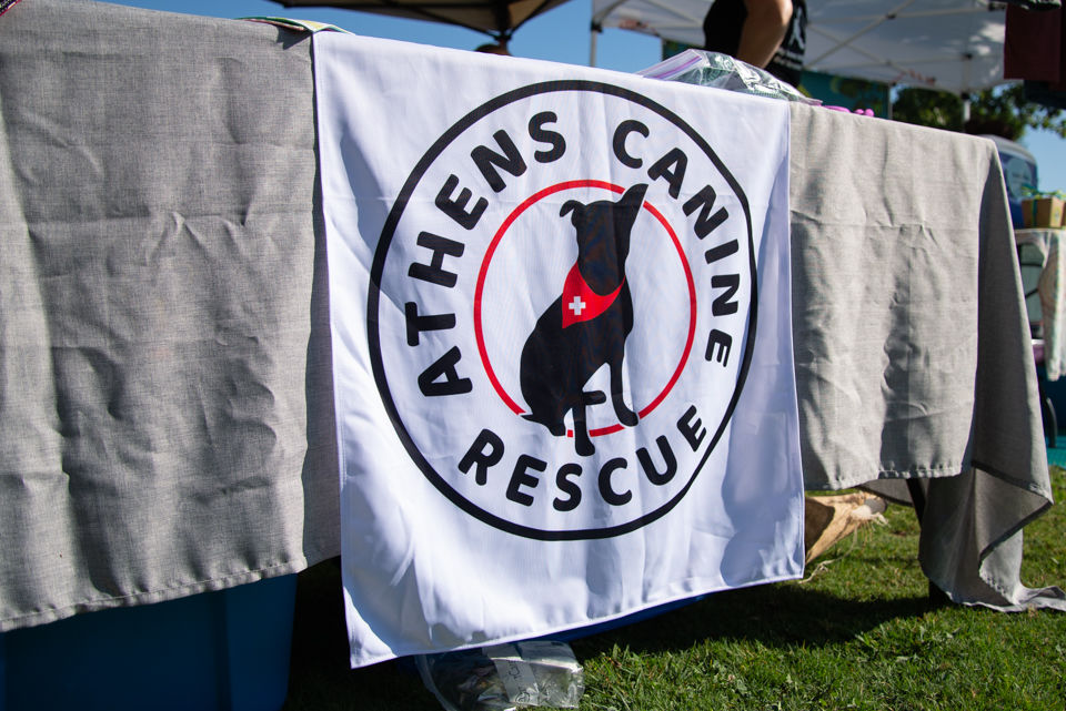 190817_jca_caninerescue_06.jpg