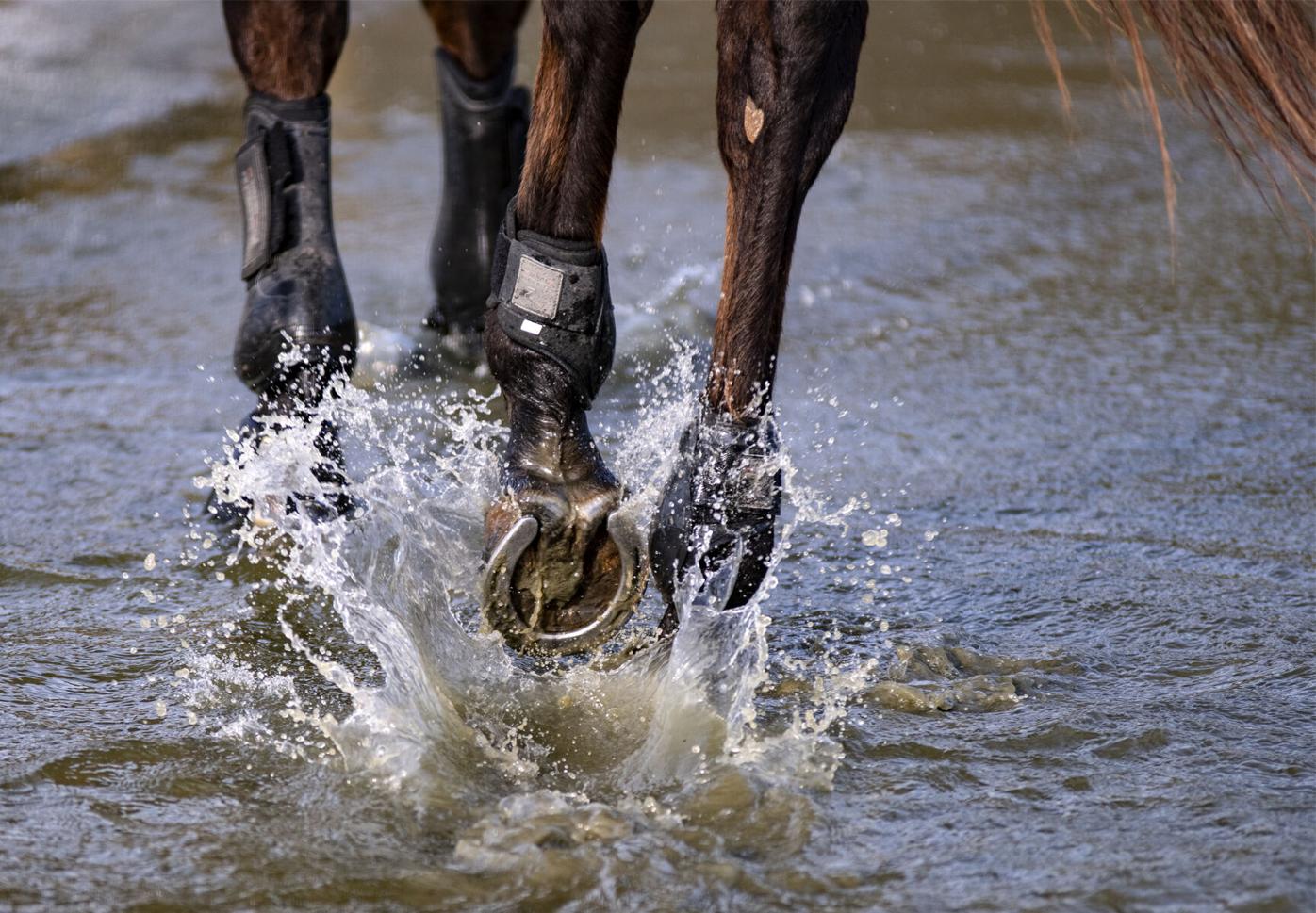 210408_ks_EventingXC_0002.jpg