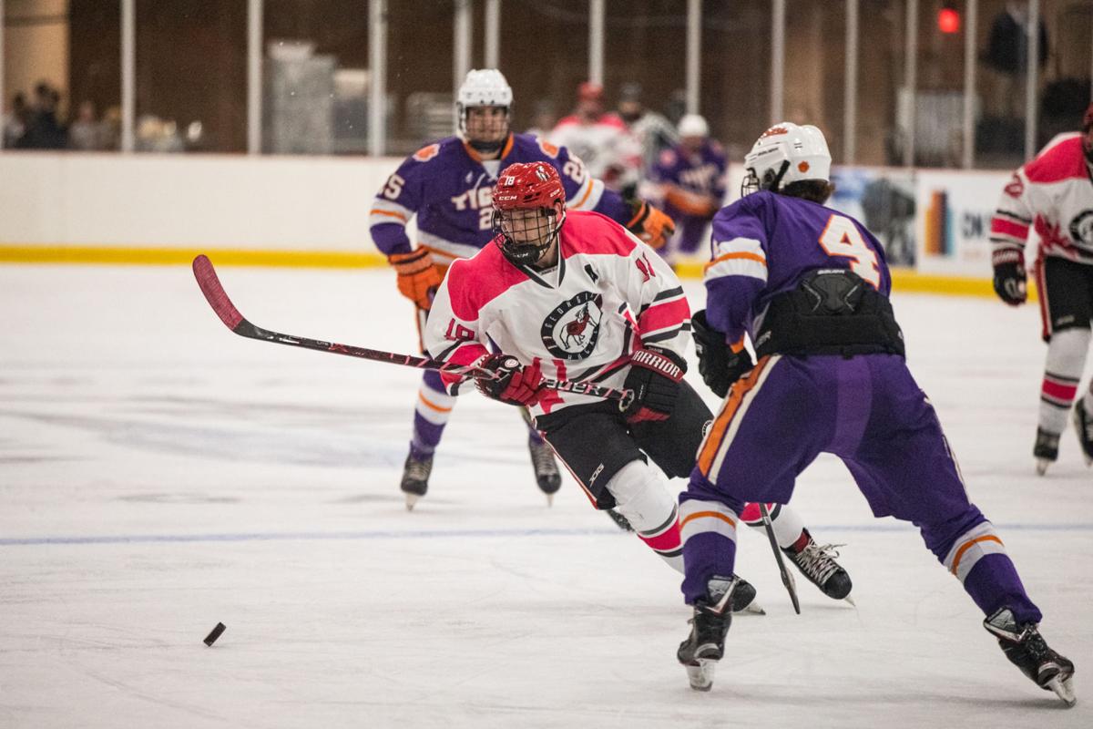 191017_RAC_HockeyVsClemson-13.jpg