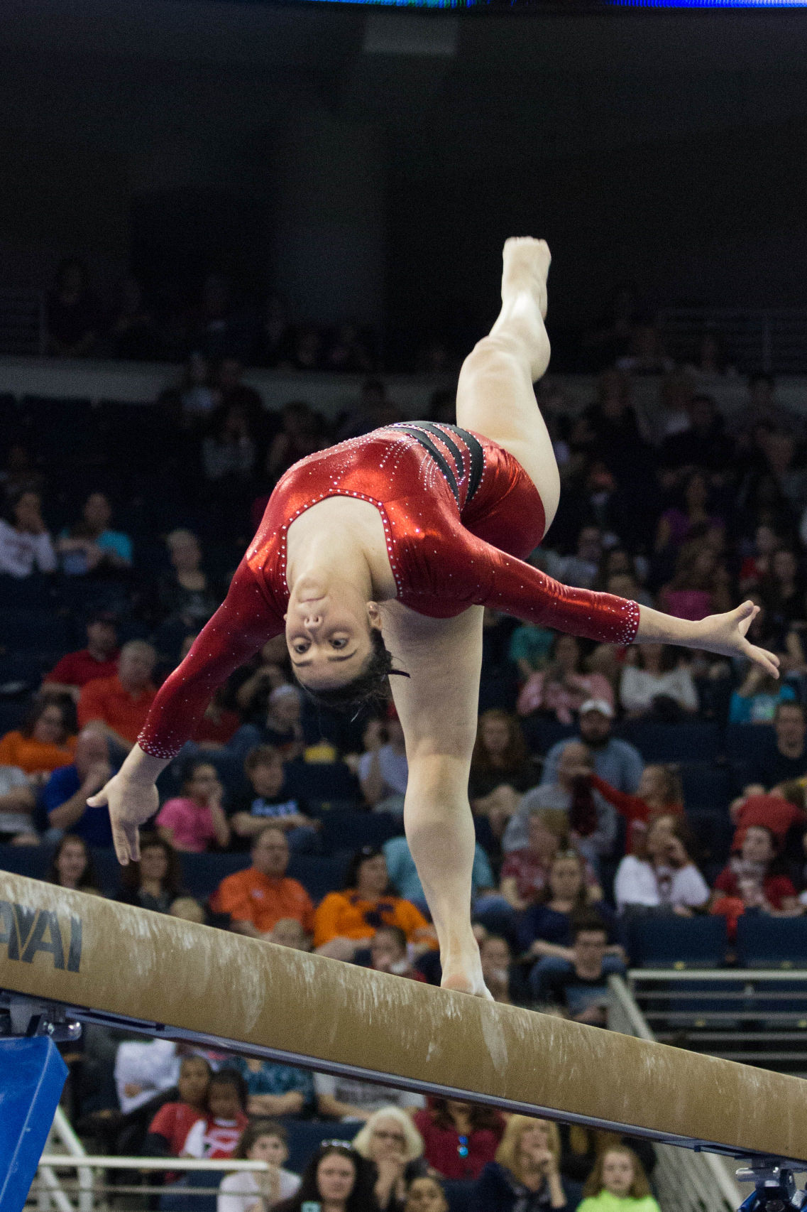 Photo Gallery 2015 SEC Gymnastics Championship Rbtv