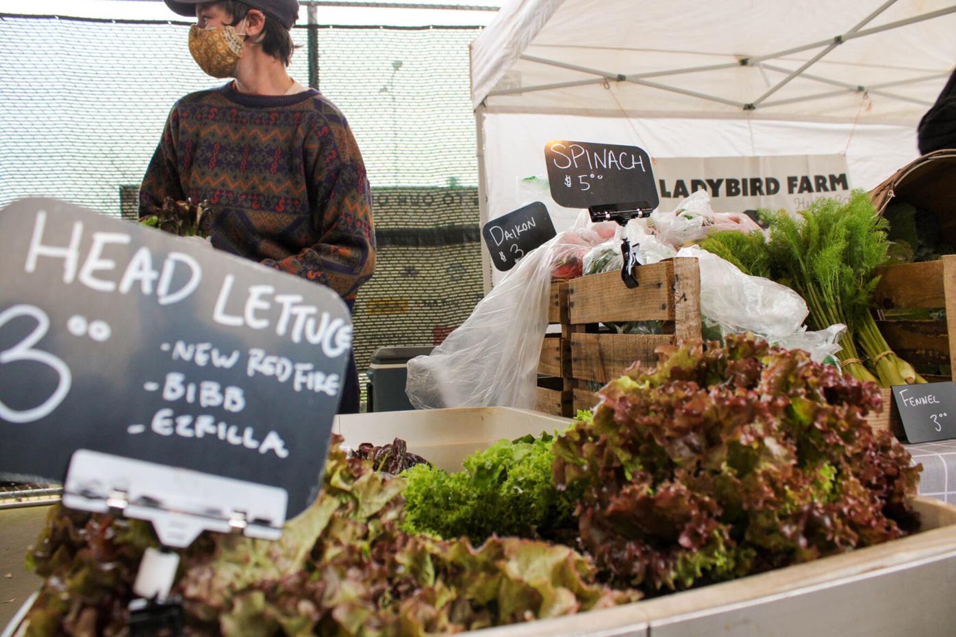 210306_MDV_AthensFarmersMarket 006.jpg