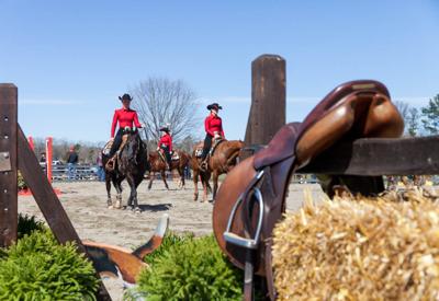 equestrian redandblack competeing reining warms uga senior feb against meet texas team before