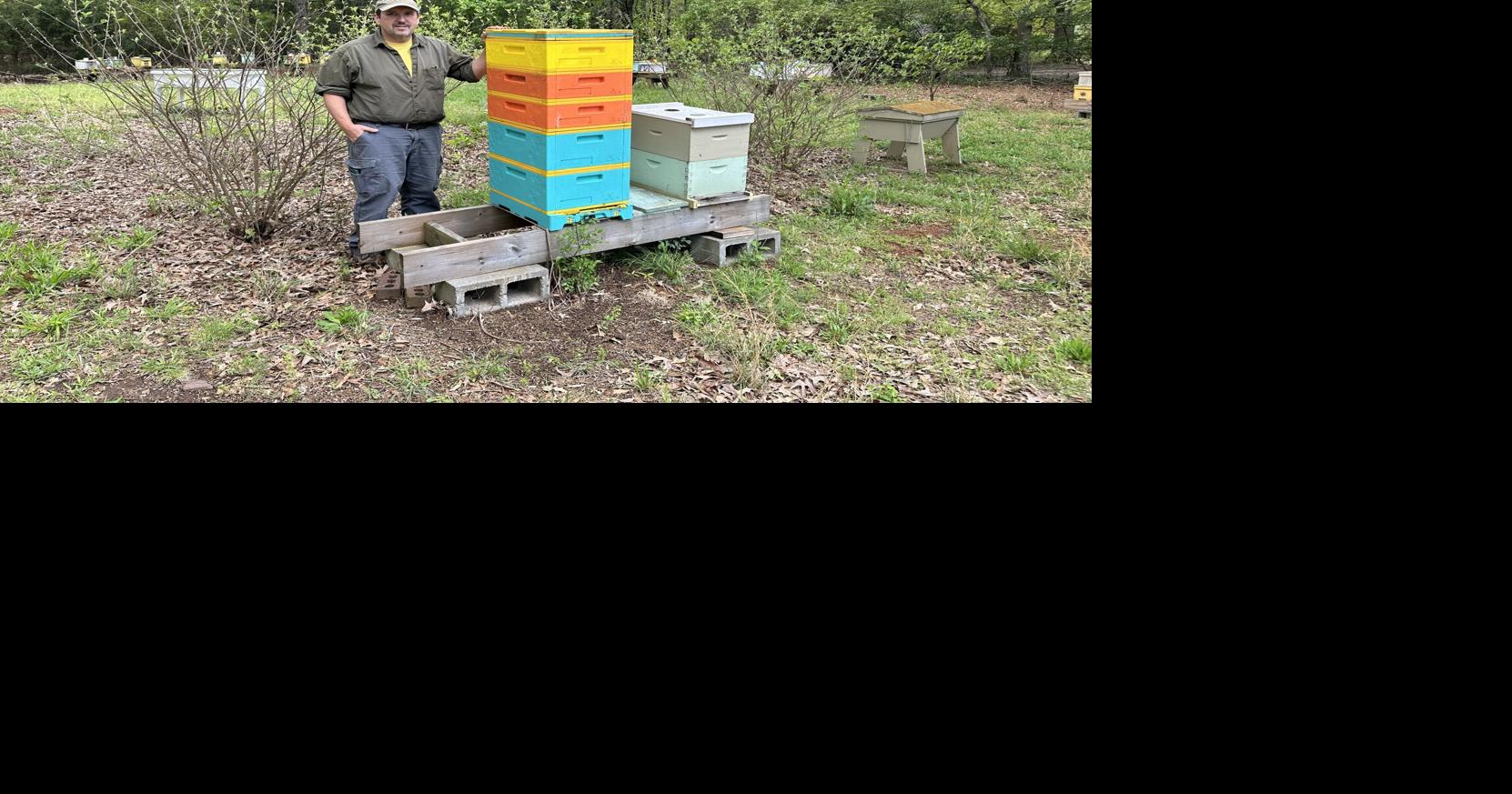 ‘It’s my obsession’: Dan Long’s constant pursuit of better beekeeping