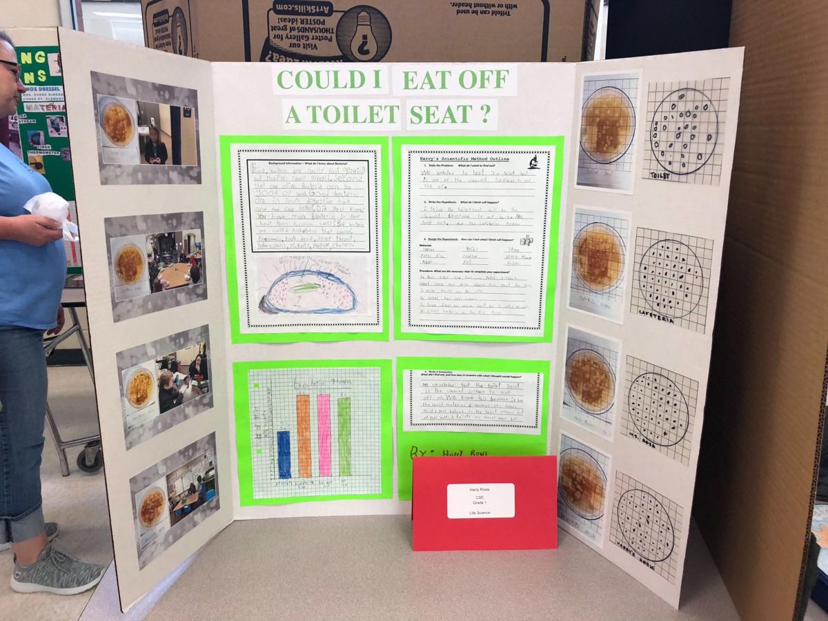 Elementary School Students Display Research And Experiments At