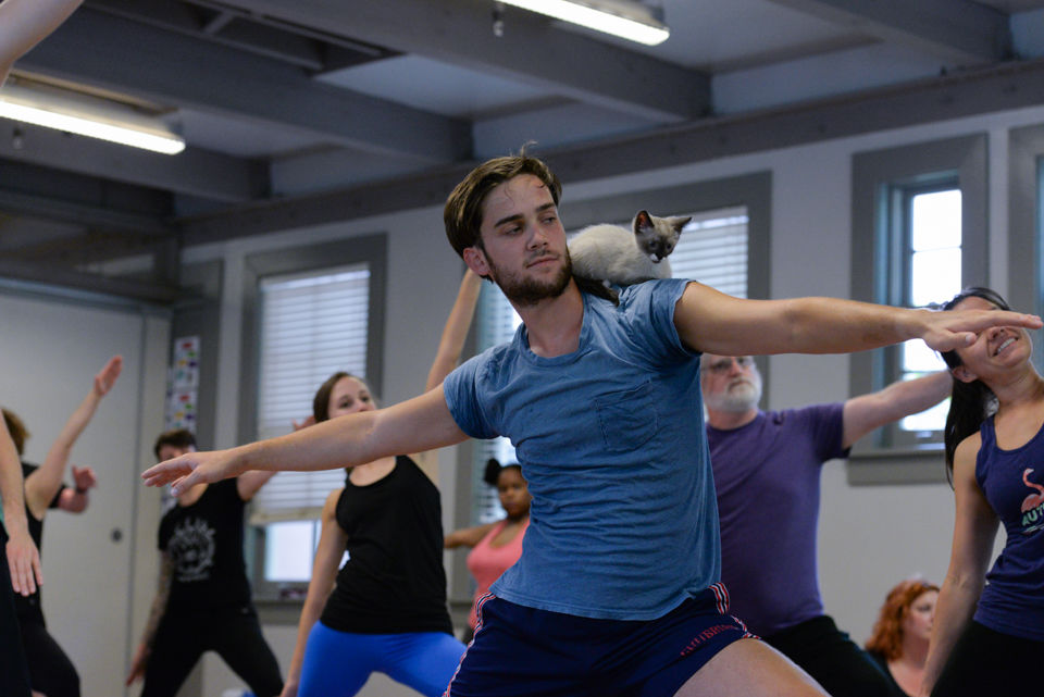 190604_jca_kittyyoga_19.jpg