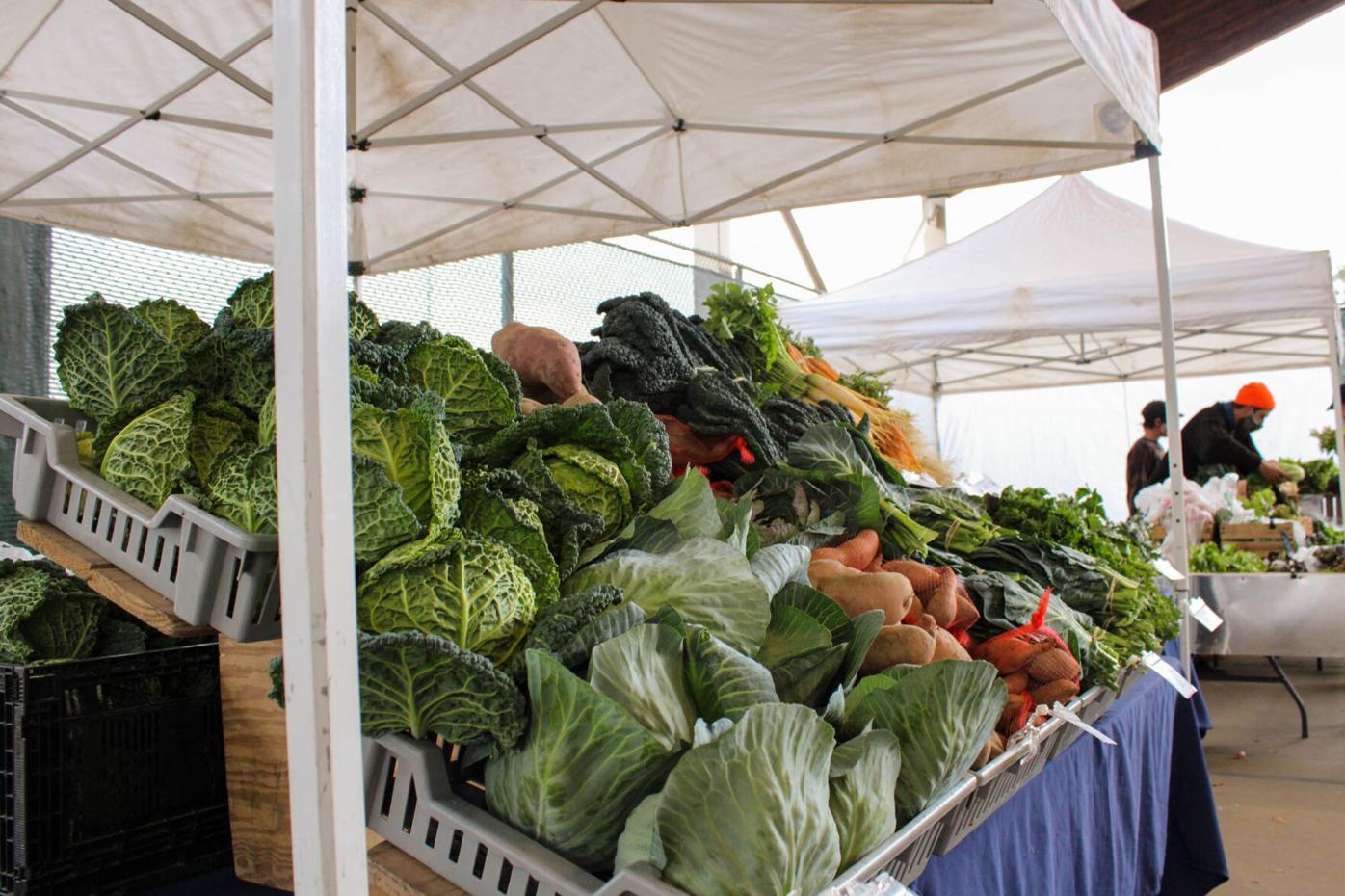 210306_MDV_AthensFarmersMarket 007.jpg