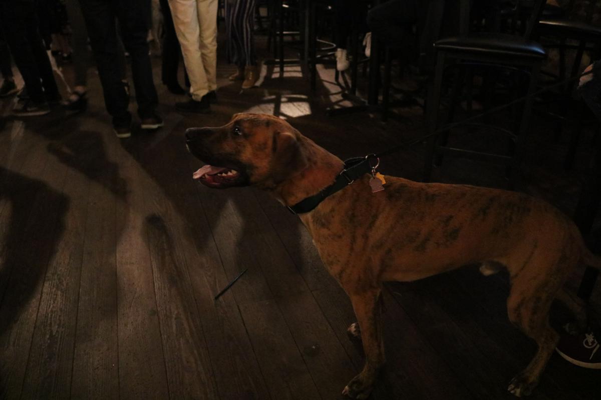 190214_md_mags_puppy_love_0033.jpg