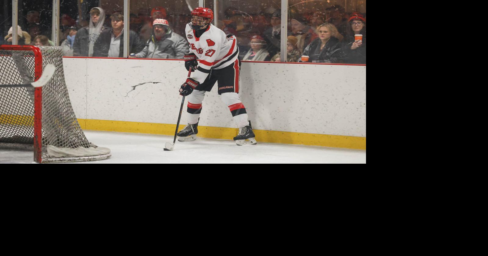 Georgia hockey rolls past Alabama to extend win streak to 6 | Georgia ...