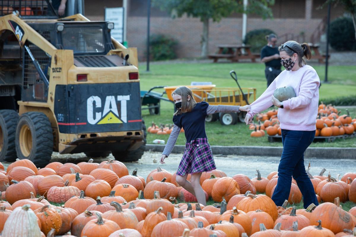 201018_mlm_pumpkinpatch251.jpg