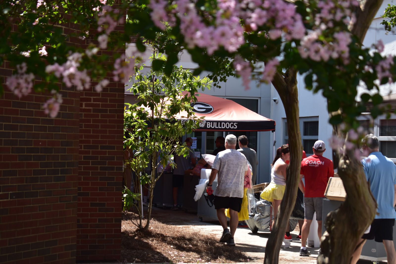 PHOTOS UGA Students Move In Before The 2023 2024 School Year   64d82d2b8c6cc.preview 