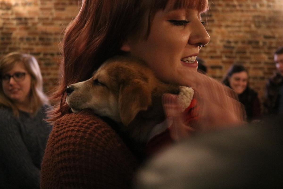 190214_md_mags_puppy_love_0041.jpg