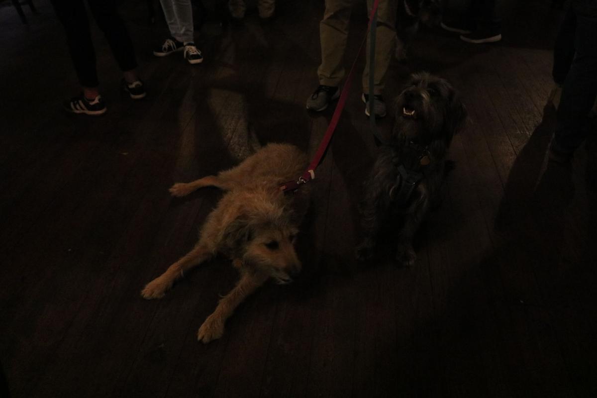 190214_md_mags_puppy_love_0044.jpg