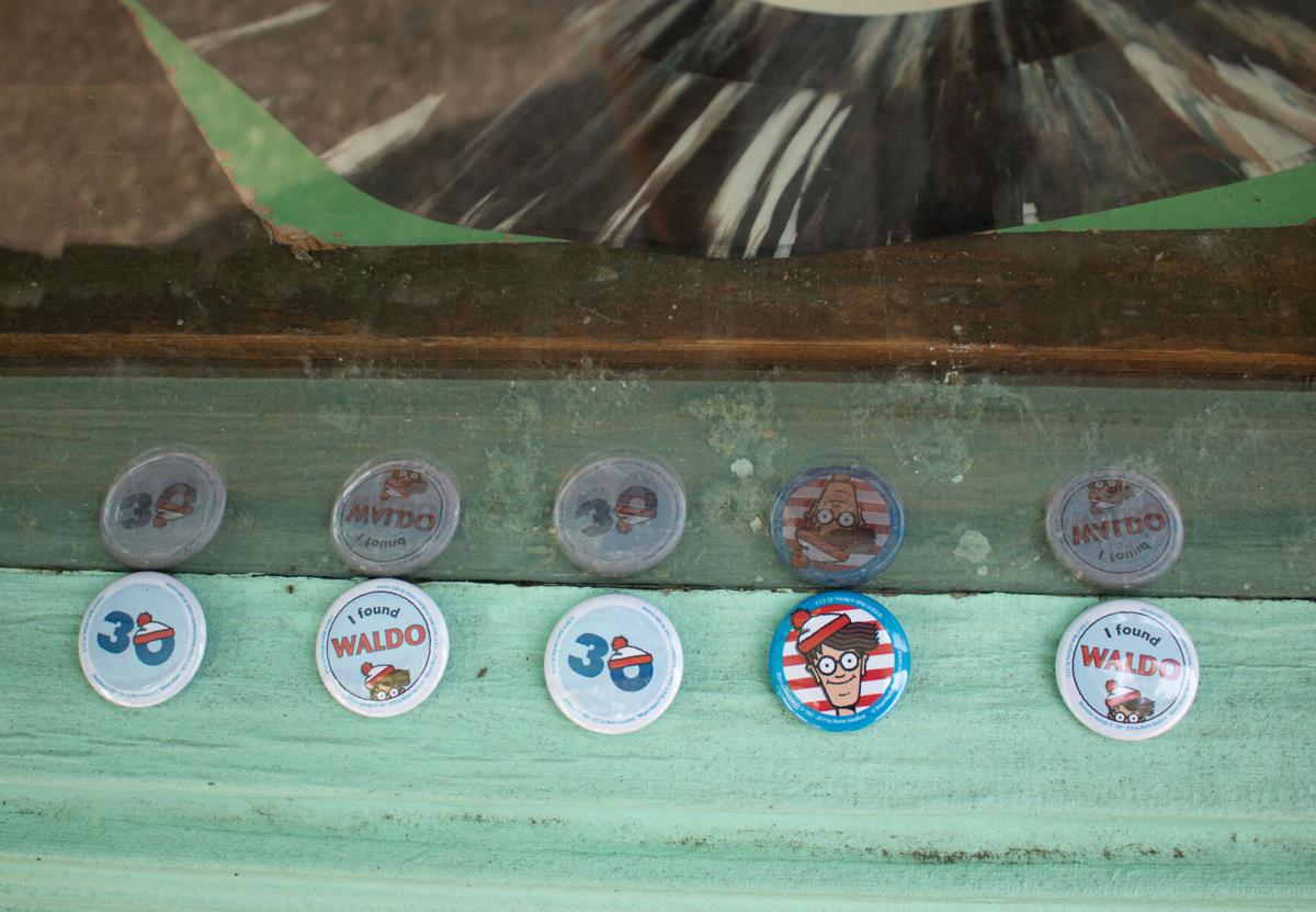 avid waldo pins 0001.jpg