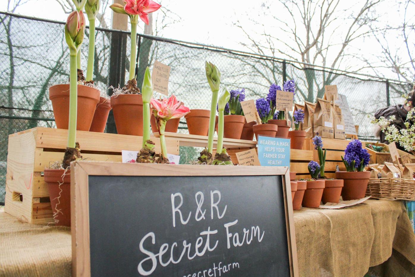 210306_MDV_AthensFarmersMarket 012.jpg
