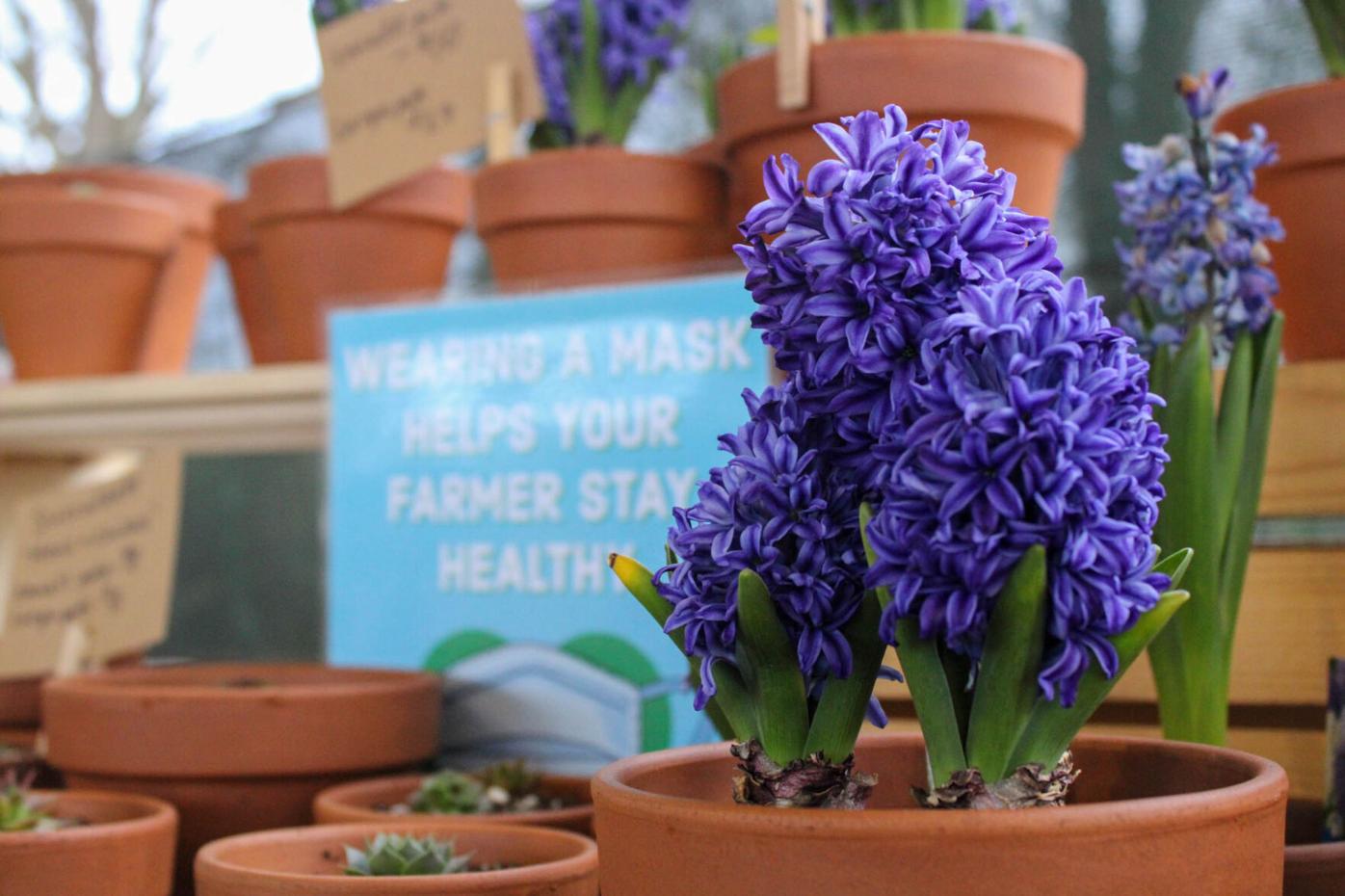210306_MDV_AthensFarmersMarket 013.jpg