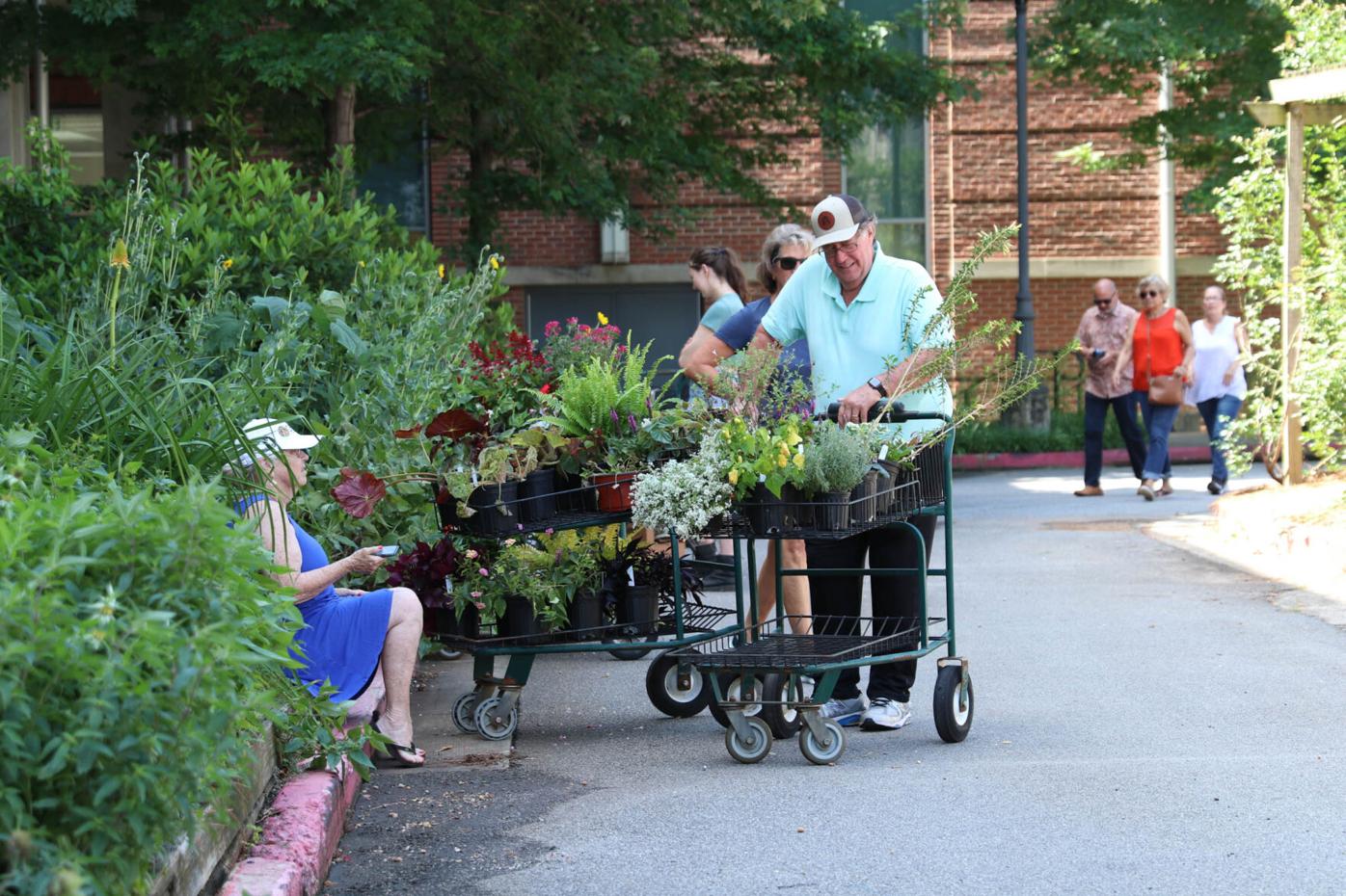 210612_ARV_TrialGardensPlantSale_0004.jpg
