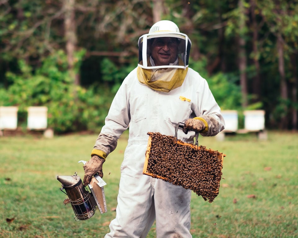 Local beekeepers prepare hives for harsh winter weather