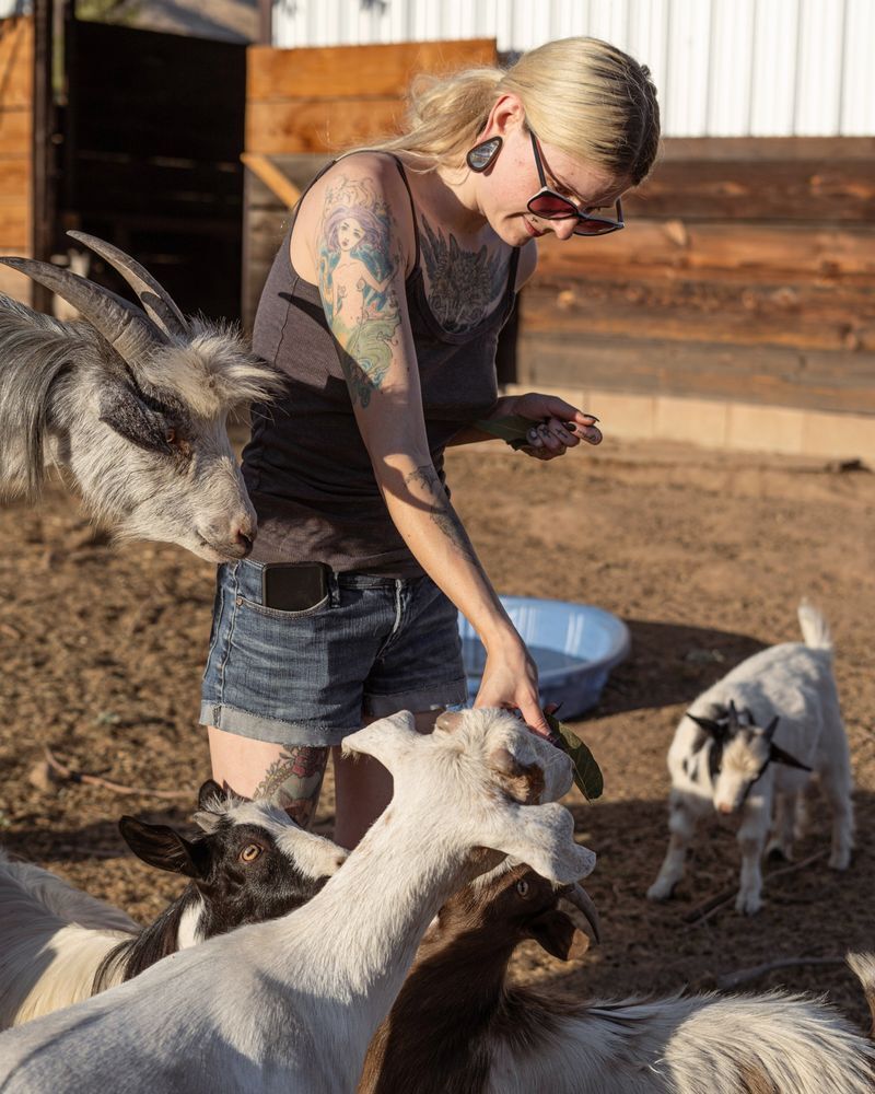 Rejecting Animal Reject Ranch rescues farm animals in times of crisis | News ...