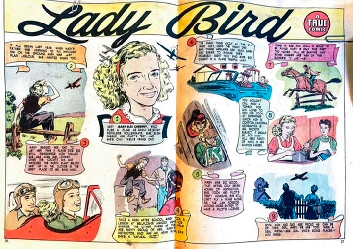 Lady Bird comic