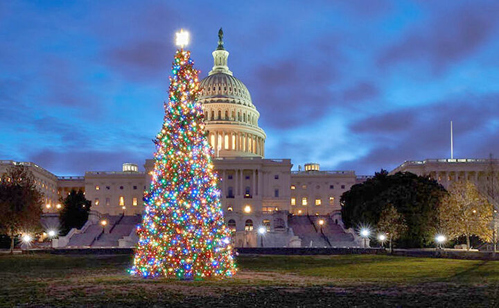 ‘the People’s Tree’ To Visit Redlands On Its Way To D.c. 