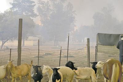 The Sandalwood Fire threatened Redlands homes after destroying several mobile homes in Calimesa