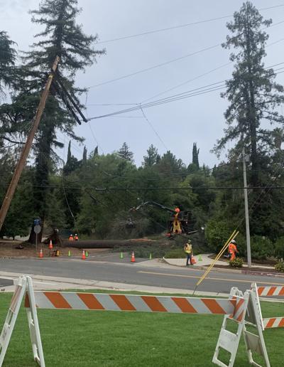Fallen tree knocks out power around Mariposa Drive for two hours ...