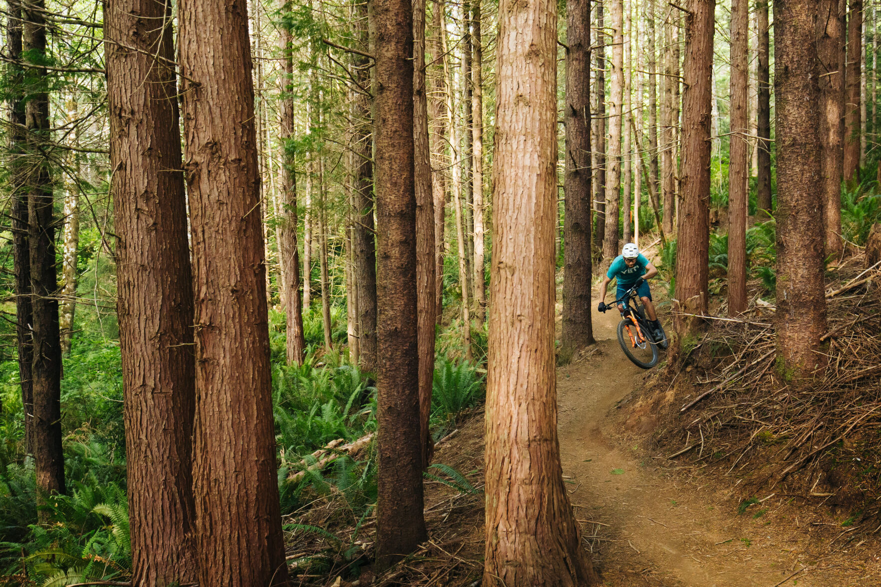 Oakridge mountain online biking