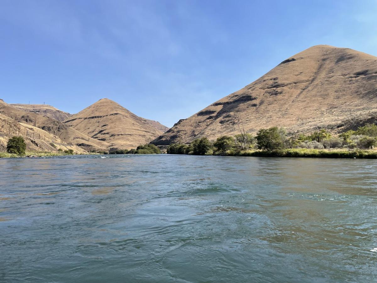 Anglers, boaters see good fish returns in Lower Deschutes, Features