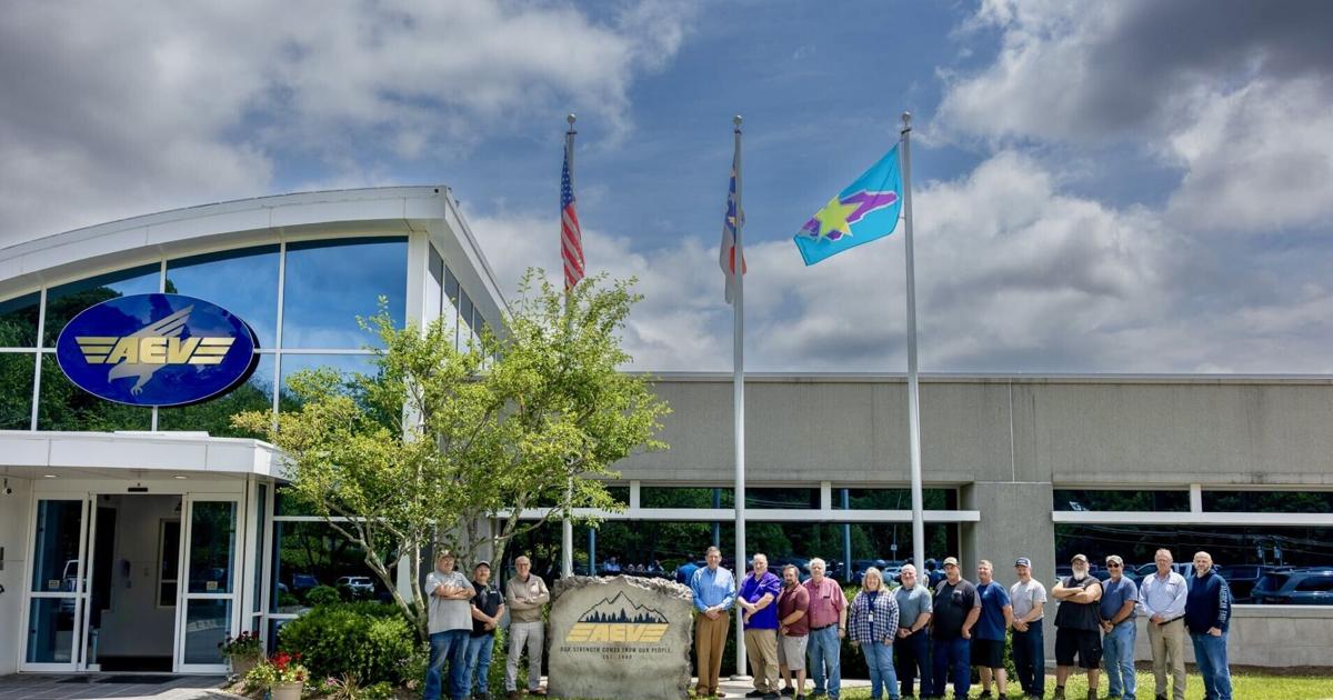 AEV group.jpg