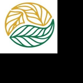 Area graduates awarded Golden LEAF scholarships