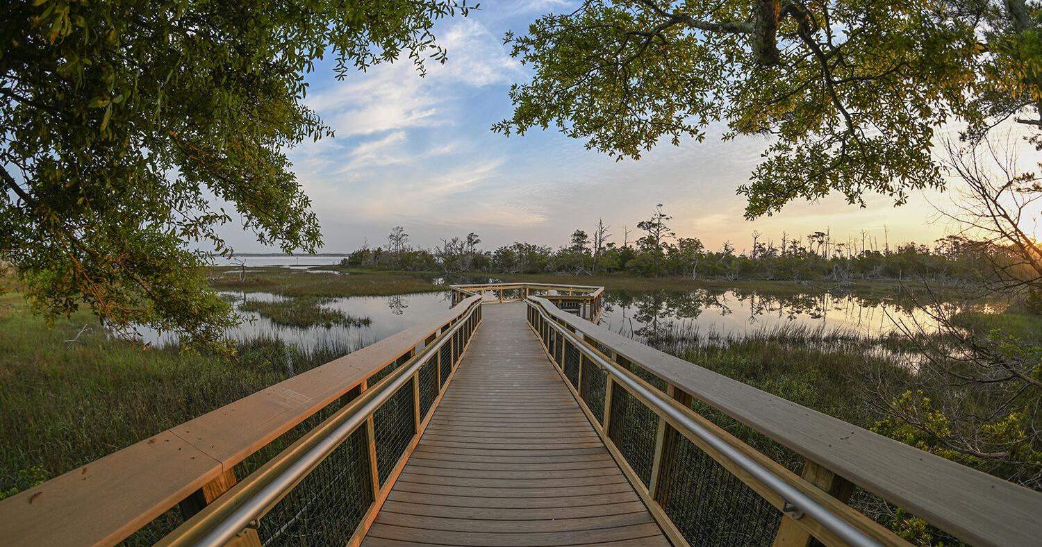 Marsh Boardwalk reopens at N.C. Aquarium at Pine Knoll Shores - Vimarsana News
