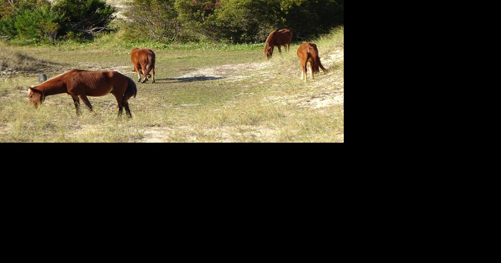 Oct. 26 Community News Local News