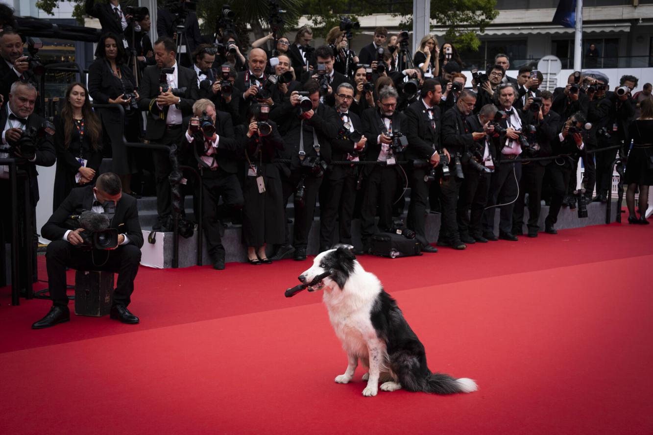 France Cannes 2024 Awards Ceremony Red Carpet World