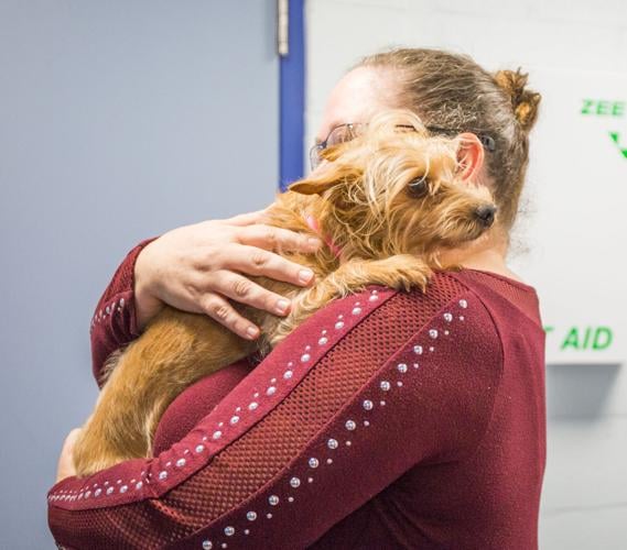 First day of holiday foster program already produces adoptions Local