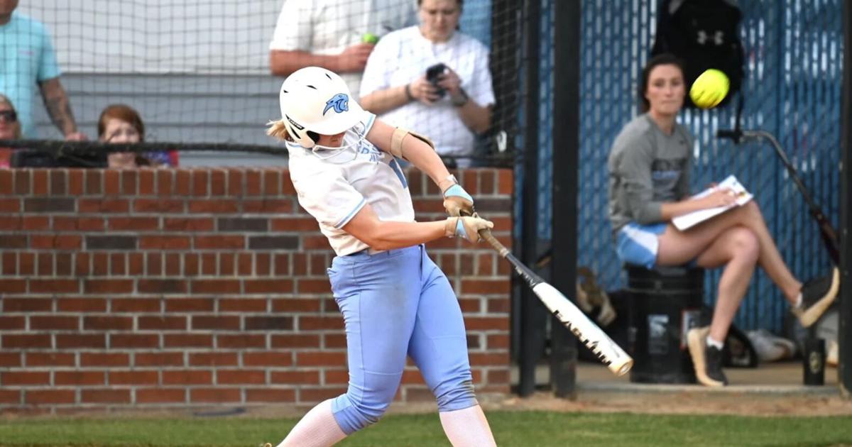 Softball standouts recognized at state, district level