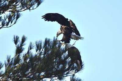 Dec 19 Community News News Reflectorcom