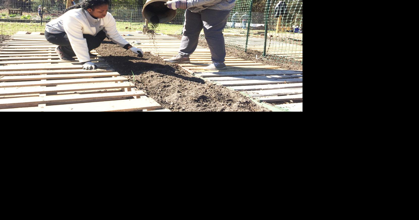 Digging in: ECU students use break for community service | Local News ...
