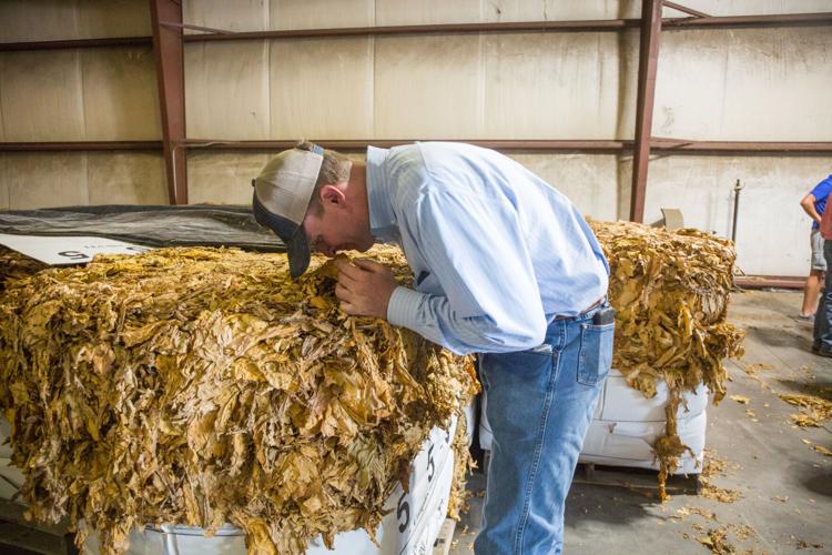 Farmers tour, learn in ENC Producers share successes, challenges
