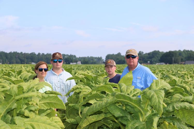 tobacco farmer news Leading in their field: As farms decline, Nash County brothers work to grow  family legacy | Local News